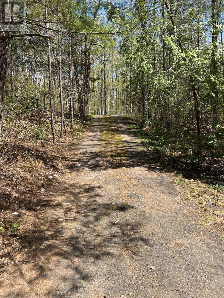 












1091 NORTH TOOKE LAKE ROAD

,
Lake of Bays (Mclean),




Ontario
P0B1A0

