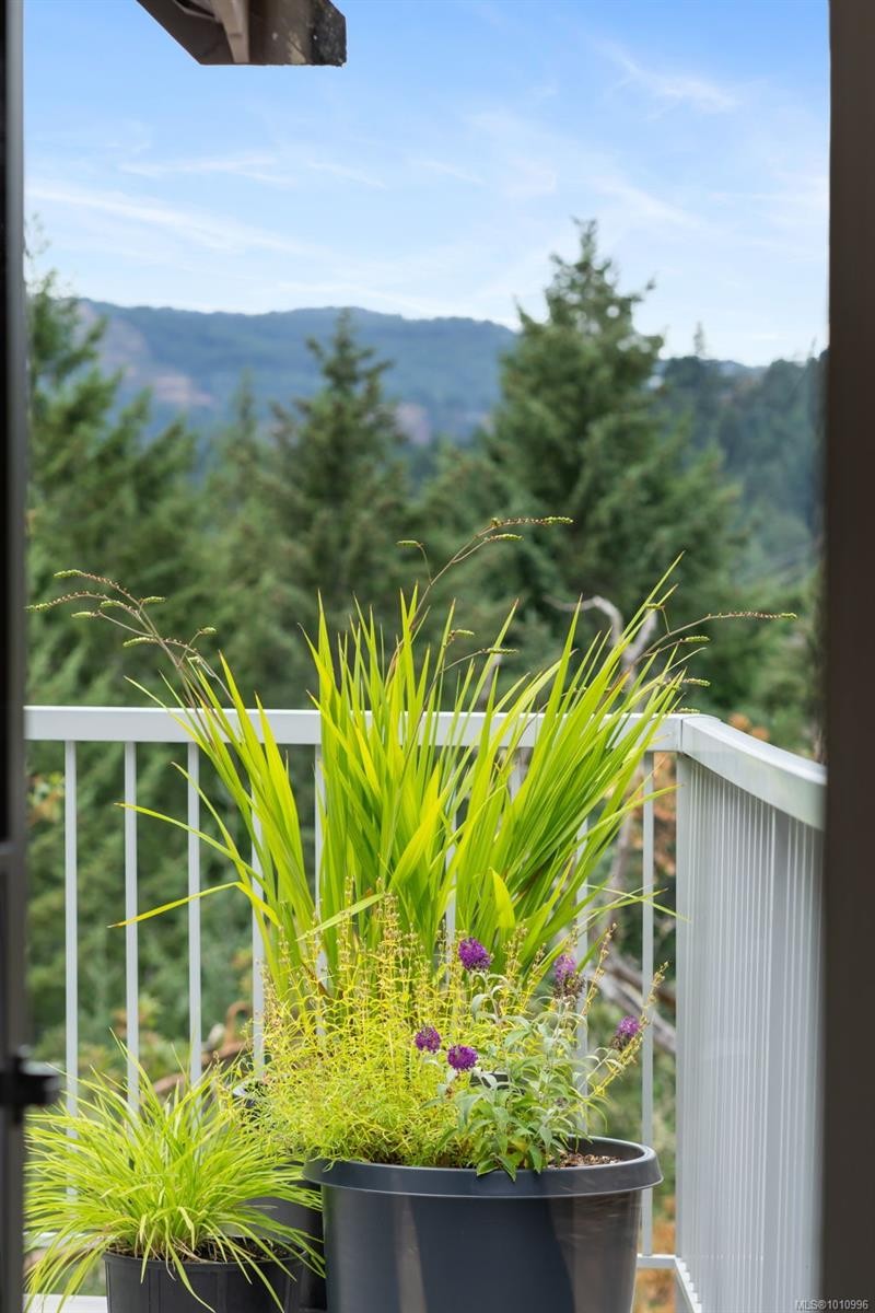 









1618


Davies

Rd,
Highlands,




BC
V9B 6E8

