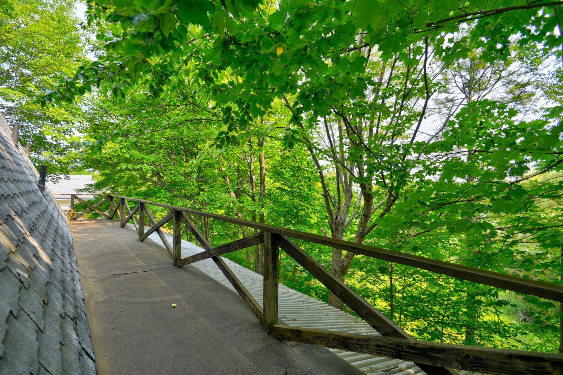 









231


Rue Béram

,
L'Épiphanie,




QC
J5X3J8

