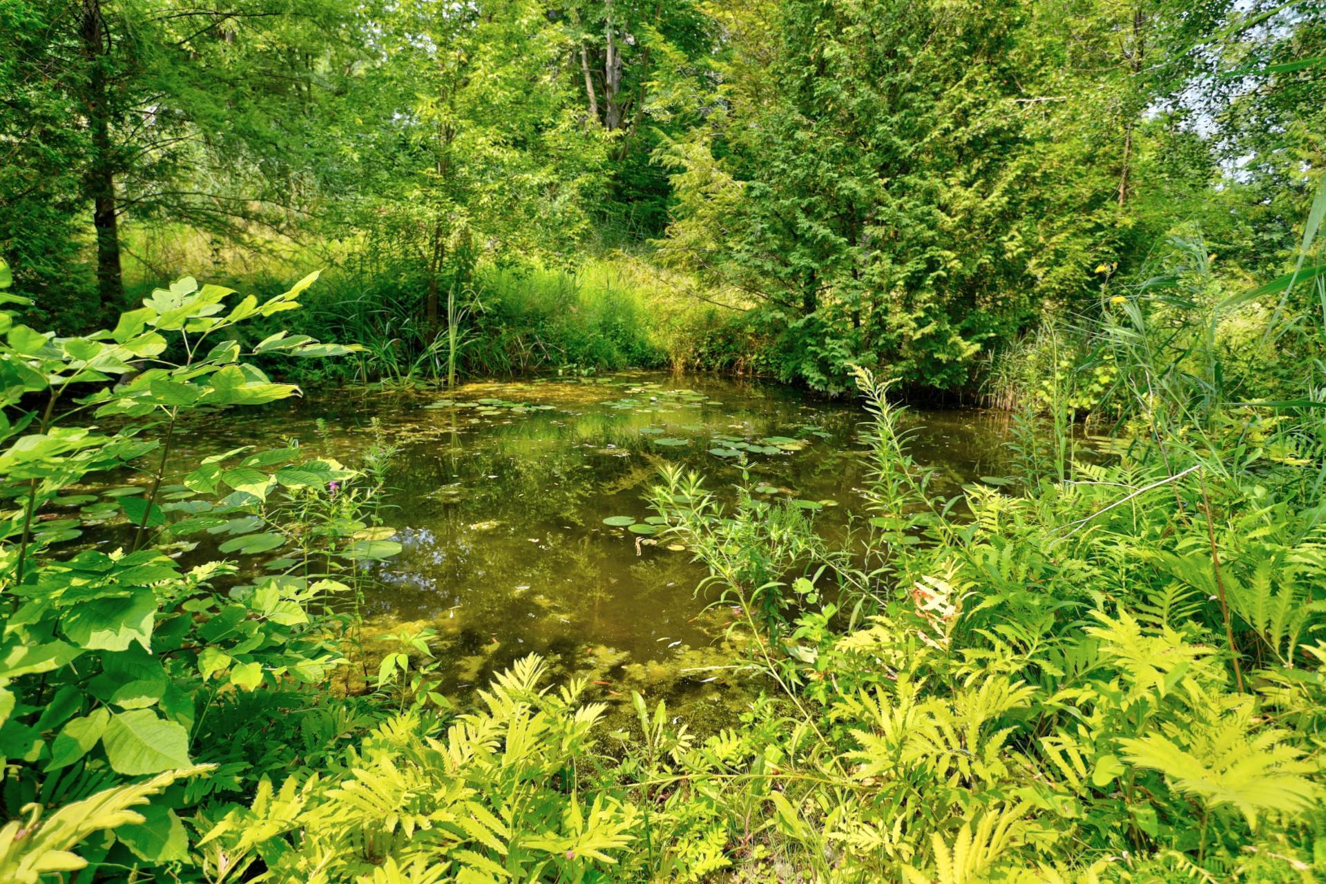 









231


Rue Béram

,
L'Épiphanie,




QC
J5X3J8

