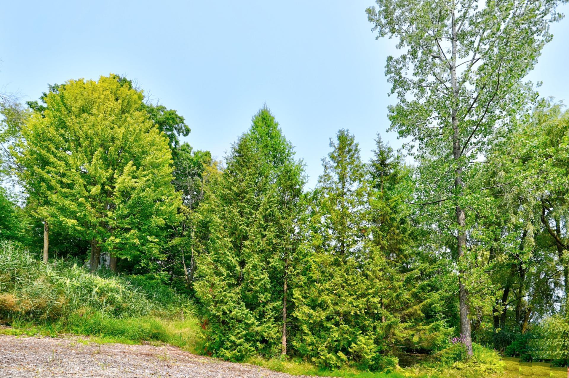 









231


Rue Béram

,
L'Épiphanie,




QC
J5X3J8

