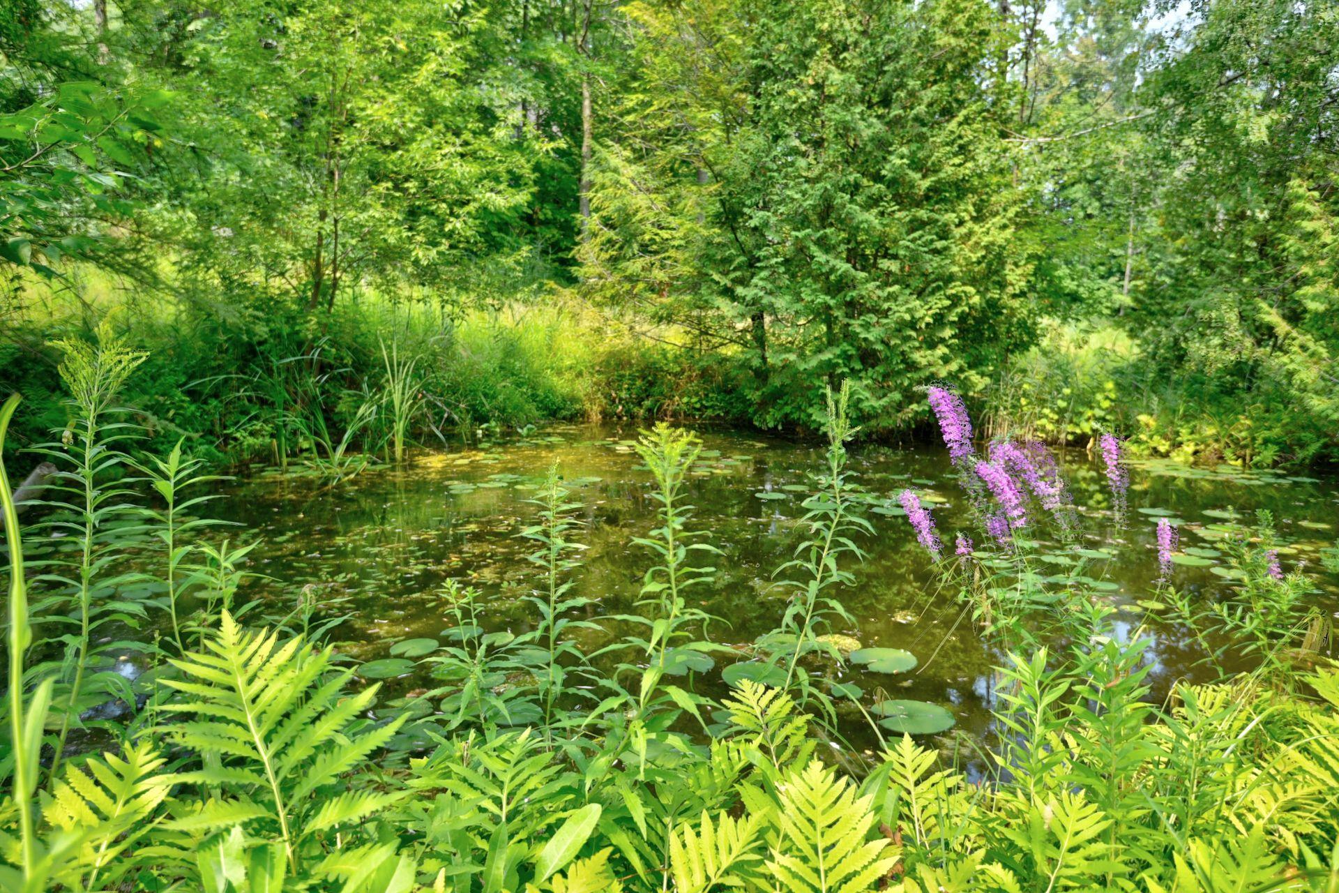 









231


Rue Béram

,
L'Épiphanie,




QC
J5X3J8

