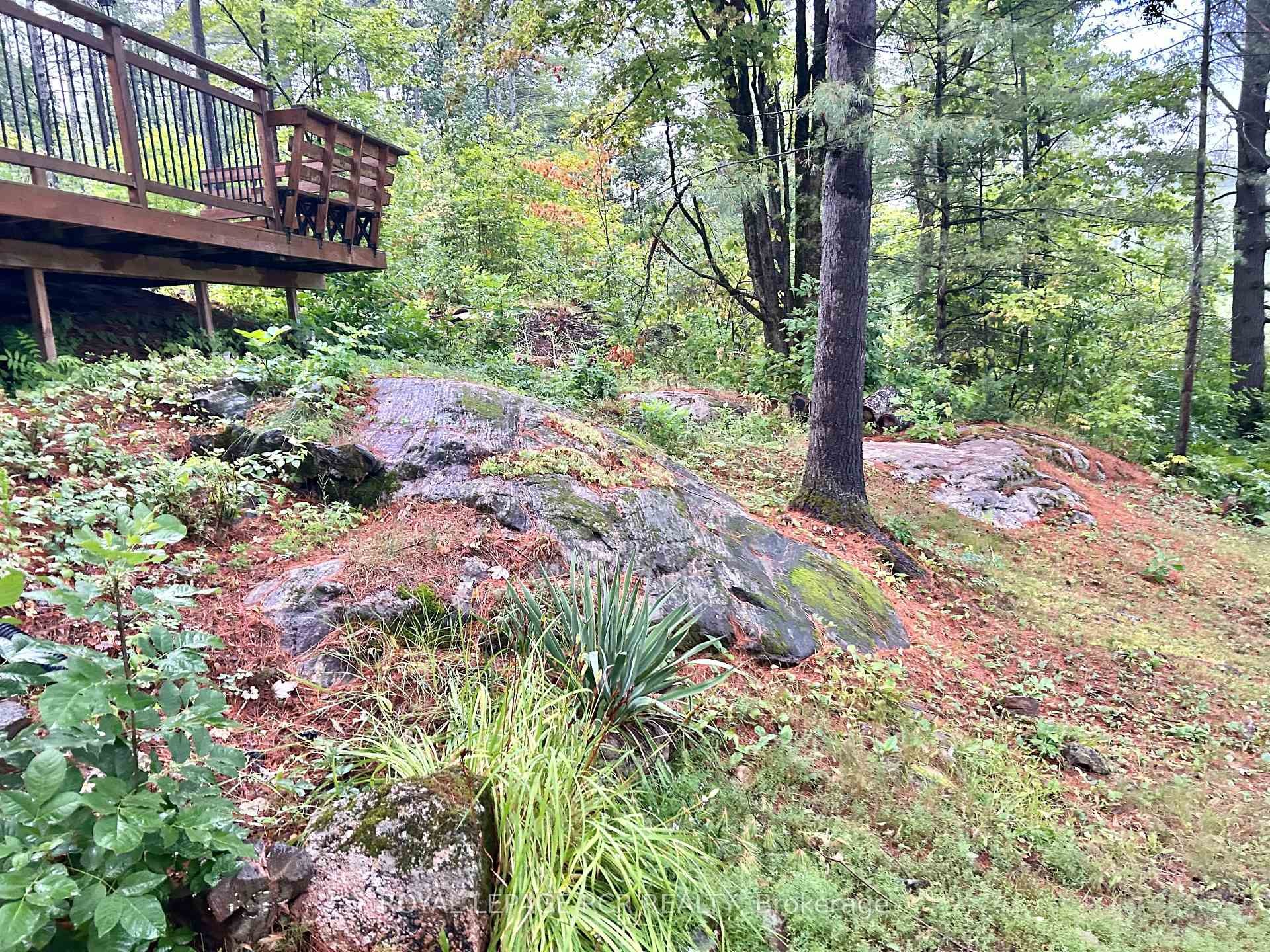 









3179


Pioneer

Road,
Severn,




ON
K0K 1E0

