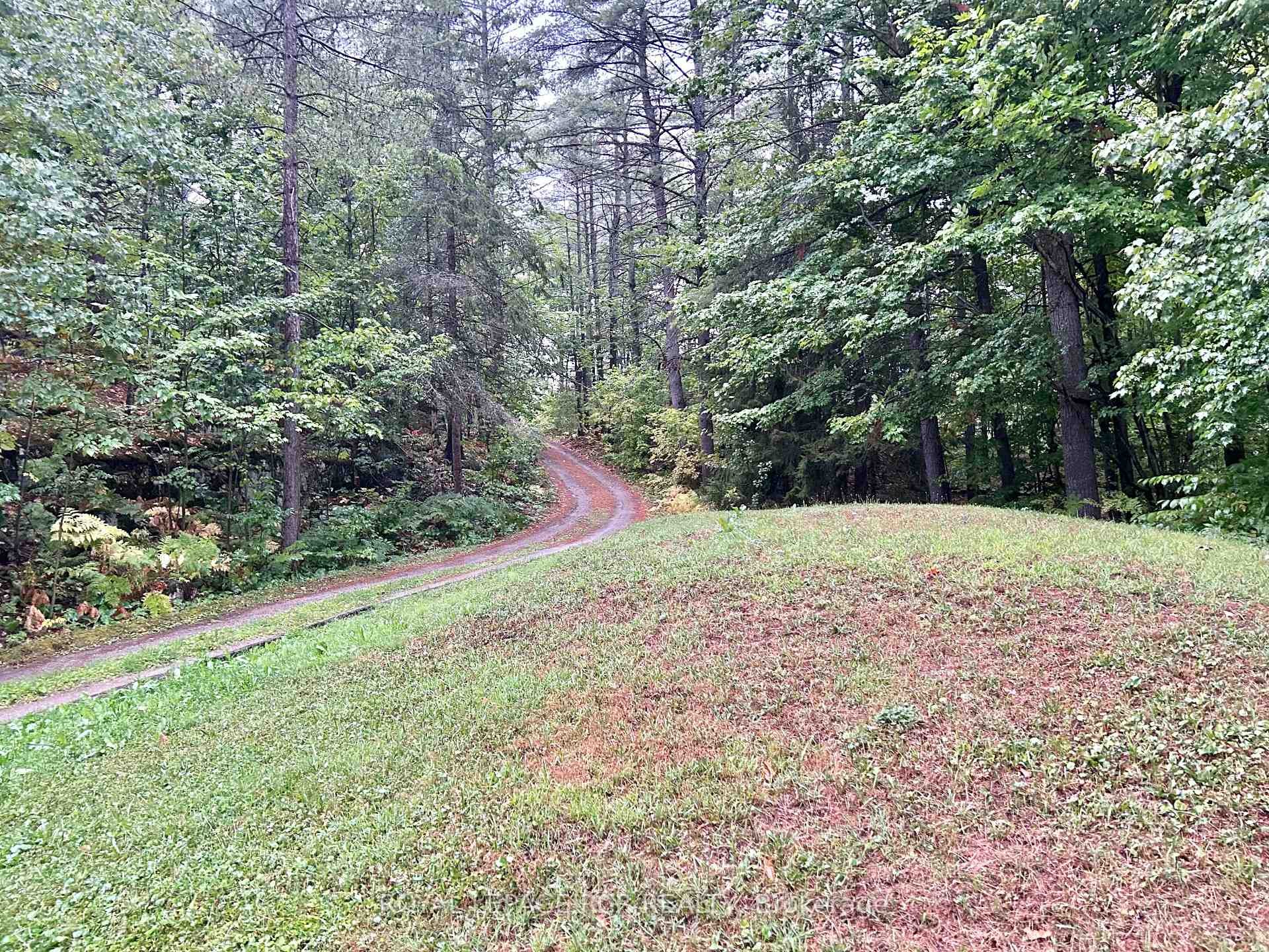 









3179


Pioneer

Road,
Severn,




ON
K0K 1E0

