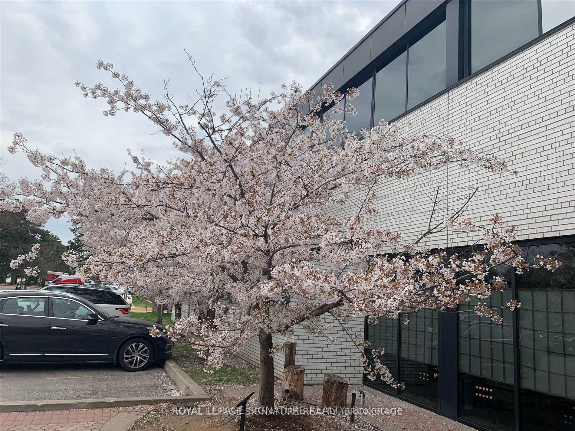 









6


Sakura

Way, 245,
Toronto,




ON
M3C 1Z5

