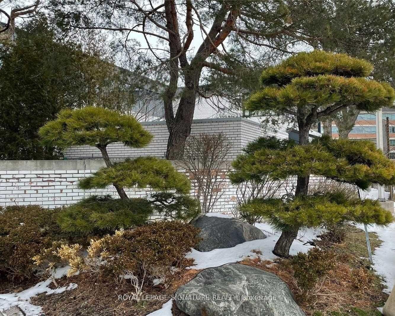 









6


Sakura

Way, 245,
Toronto,




ON
M3C 1Z5


