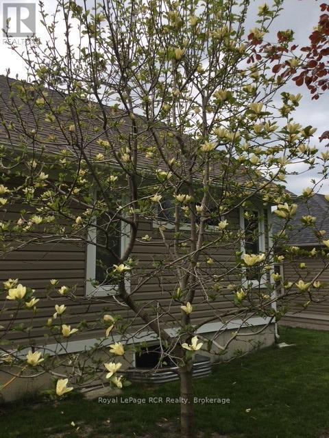 












320 DURHAM STREET W

,
Wellington North (Mount Forest),




Ontario
N0G2L1

