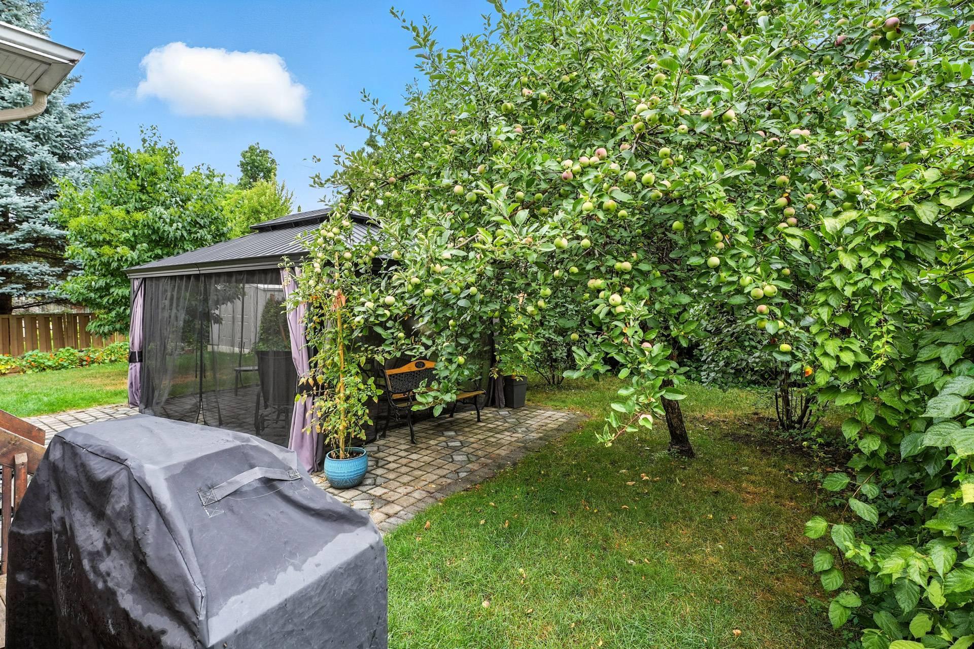 









305


Rue de Cannes

,
Gatineau (Gatineau),




QC
J8T3B9

