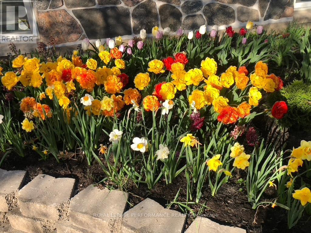 












1371 VICTORIA STREET

,
Petawawa,




Ontario
K8H2E9

