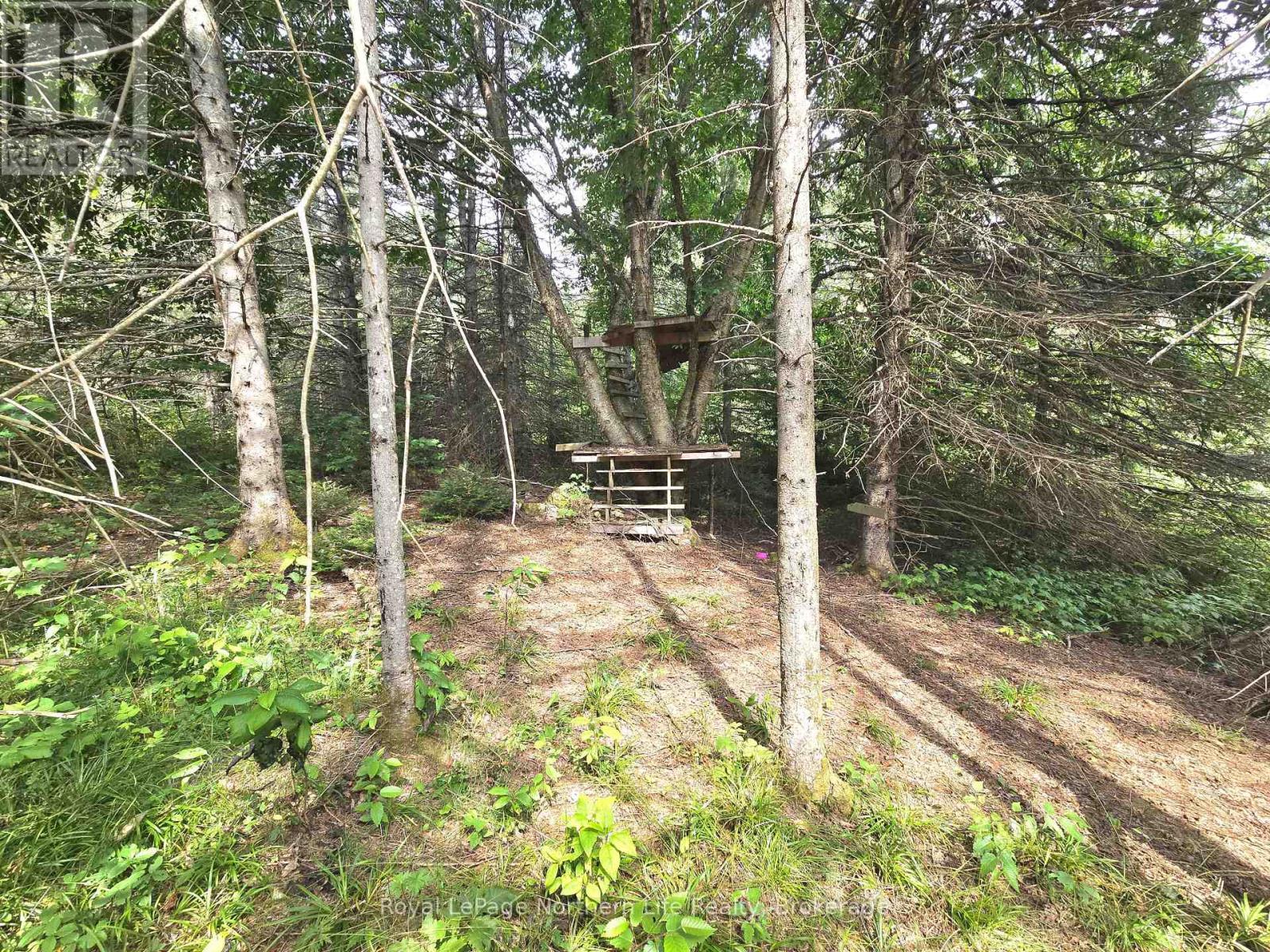 












680 MOUNT PLEASANT ROAD

,
Calvin,







Ontario
P0H2E0

