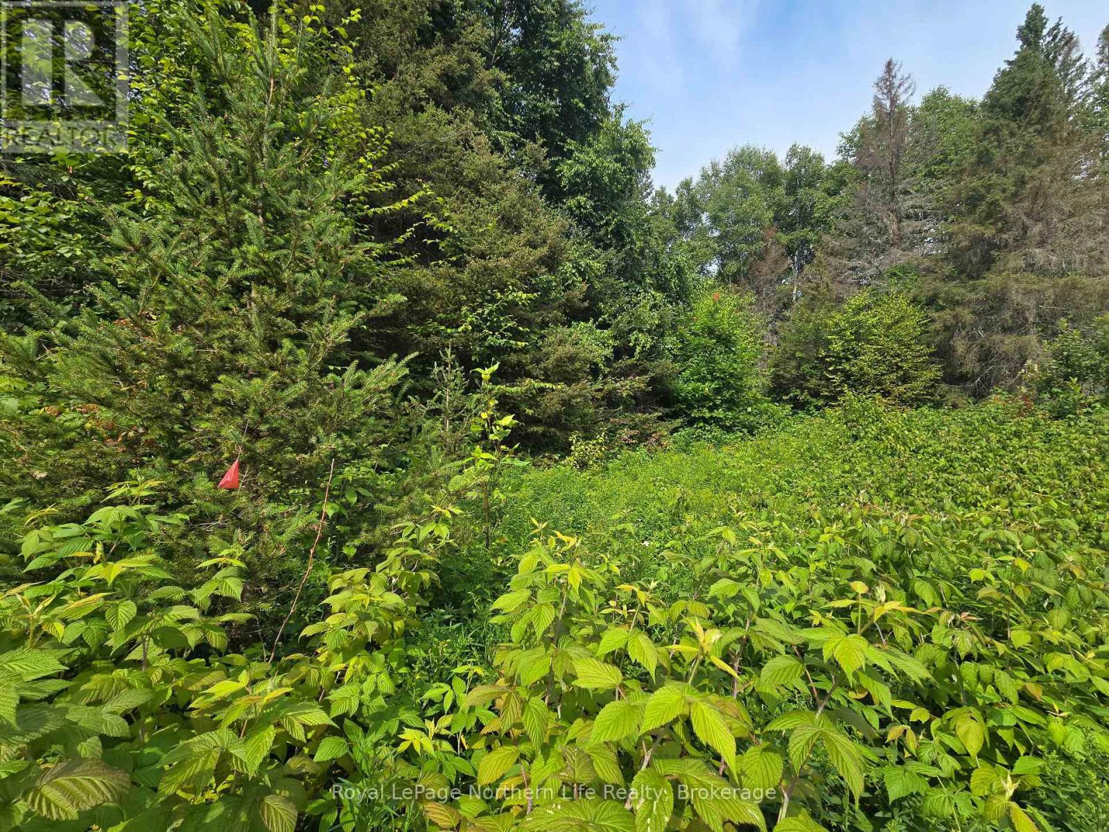 












680 MOUNT PLEASANT ROAD

,
Calvin,







Ontario
P0H2E0

