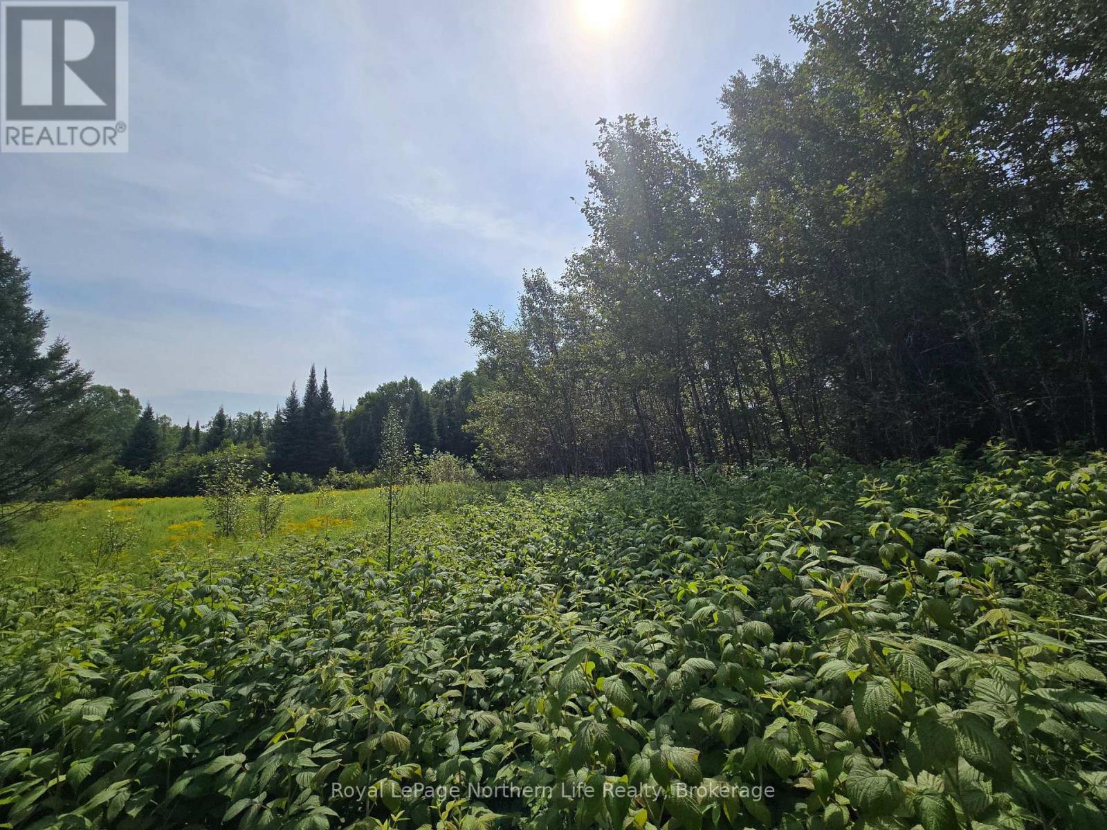 












680 MOUNT PLEASANT ROAD

,
Calvin,







Ontario
P0H2E0

