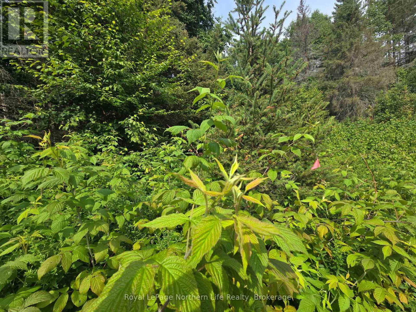 












680 MOUNT PLEASANT ROAD

,
Calvin,







Ontario
P0H2E0

