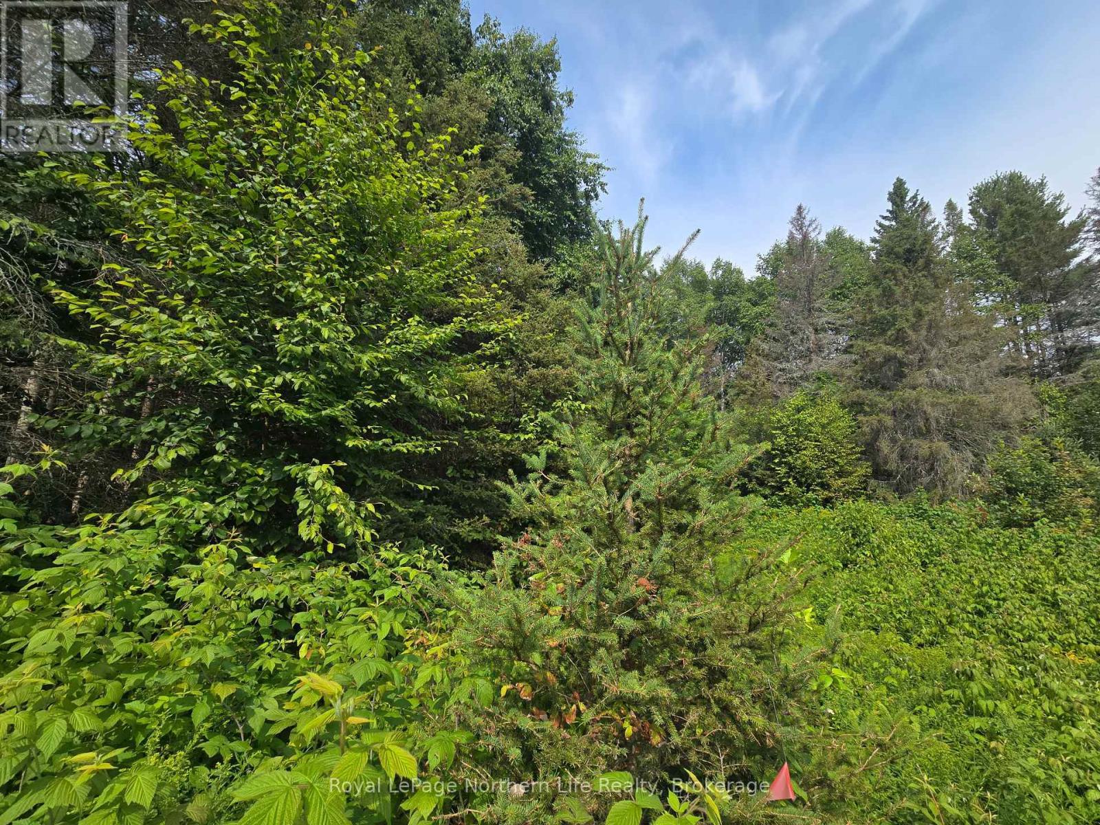 












680 MOUNT PLEASANT ROAD

,
Calvin,







Ontario
P0H2E0

