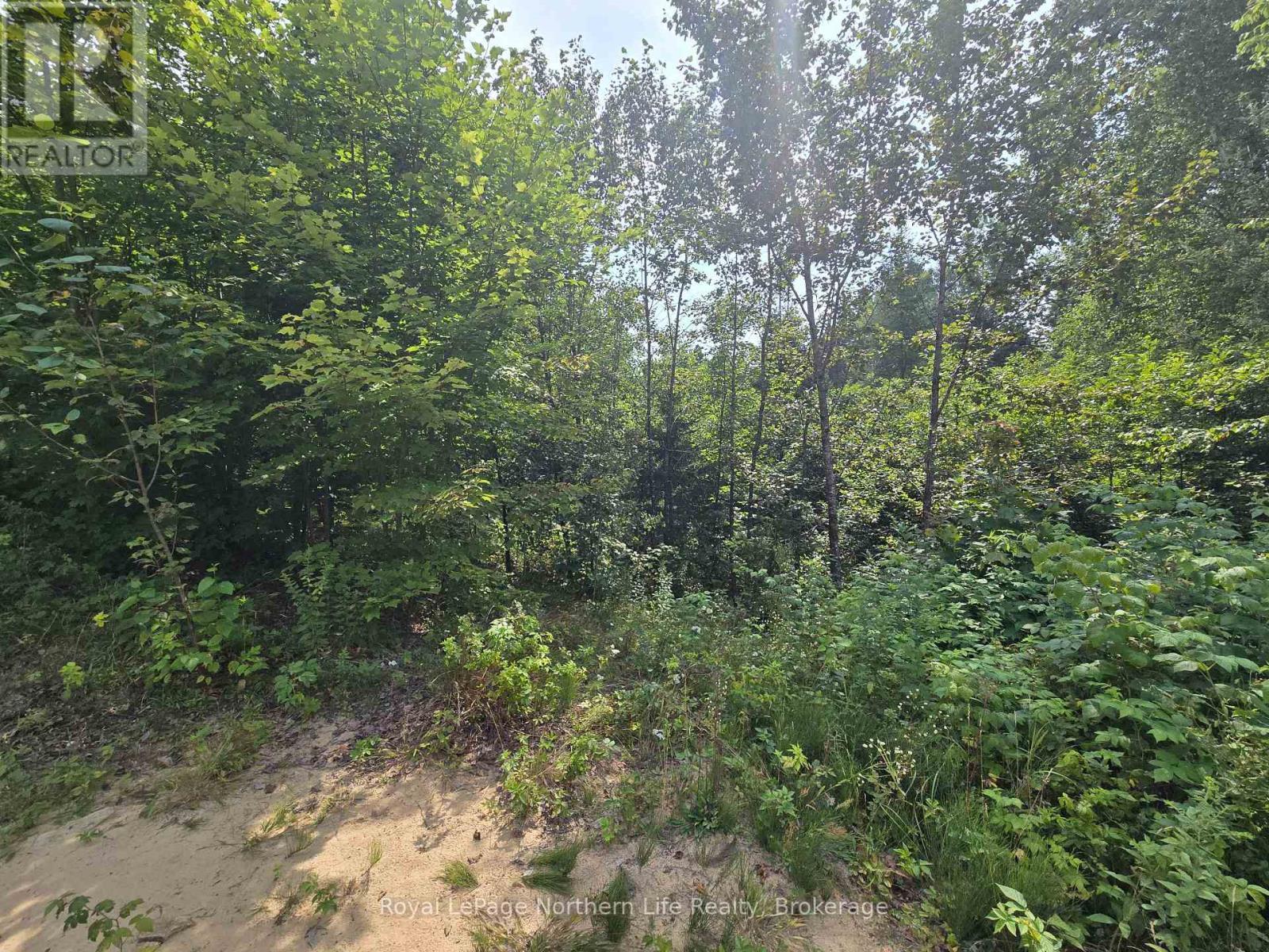 












680 MOUNT PLEASANT ROAD

,
Calvin,







Ontario
P0H2E0

