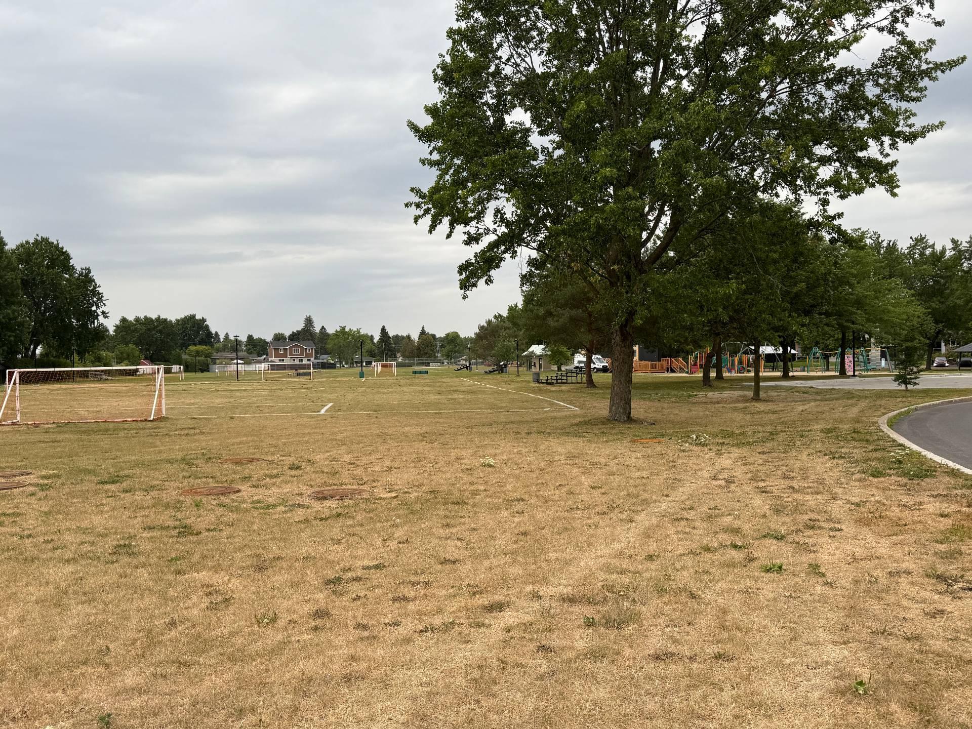 









39


Av. des Ormes

,
Saint-Basile-le-Grand,




QC
J3N1G4

