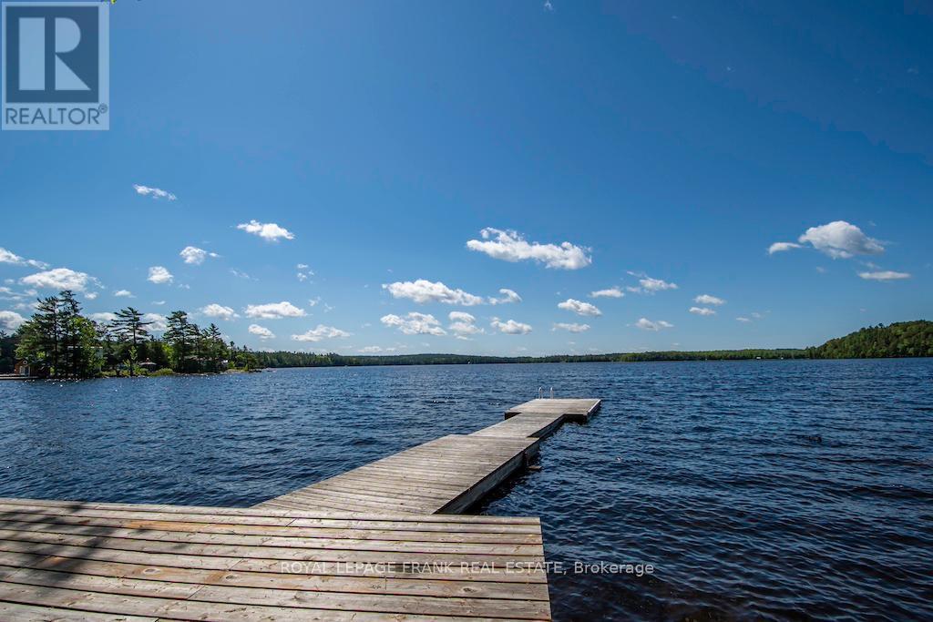 












119 FIRE ROUTE 242

,
Trent Lakes,




Ontario
K0L1J0

