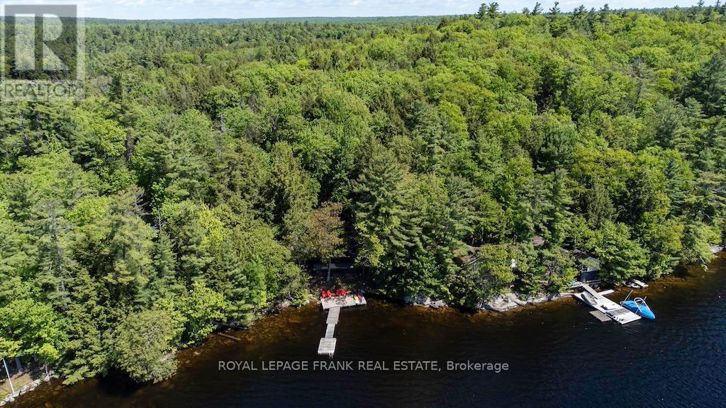 












119 FIRE ROUTE 242

,
Trent Lakes,




Ontario
K0L1J0

