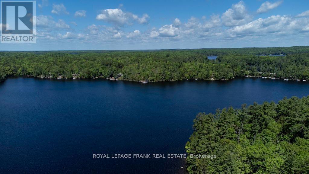 












119 FIRE ROUTE 242

,
Trent Lakes,




Ontario
K0L1J0

