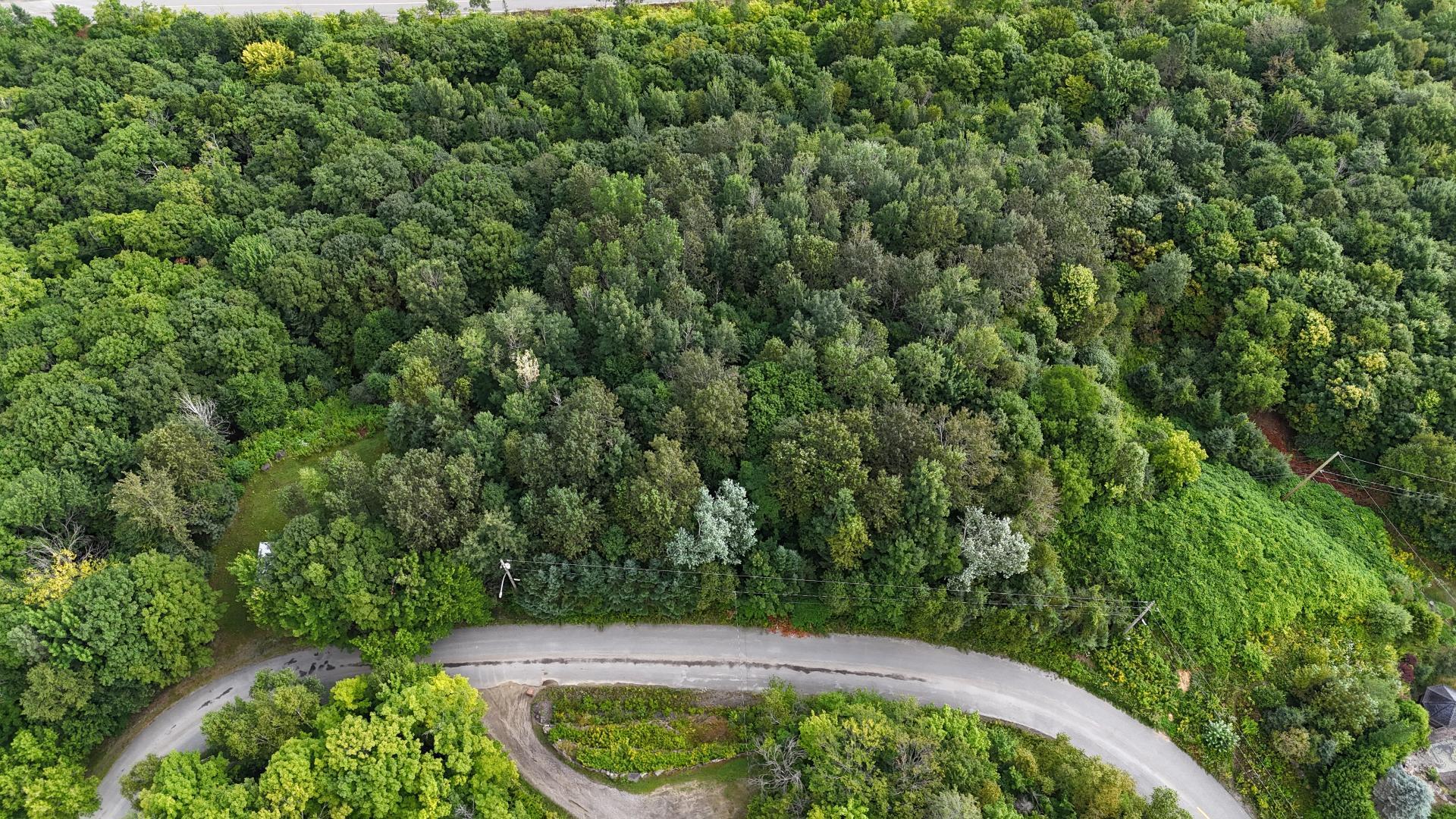 












Rue Beaulne

,
Sainte-Agathe-des-Monts,







QC
J8C3G6

