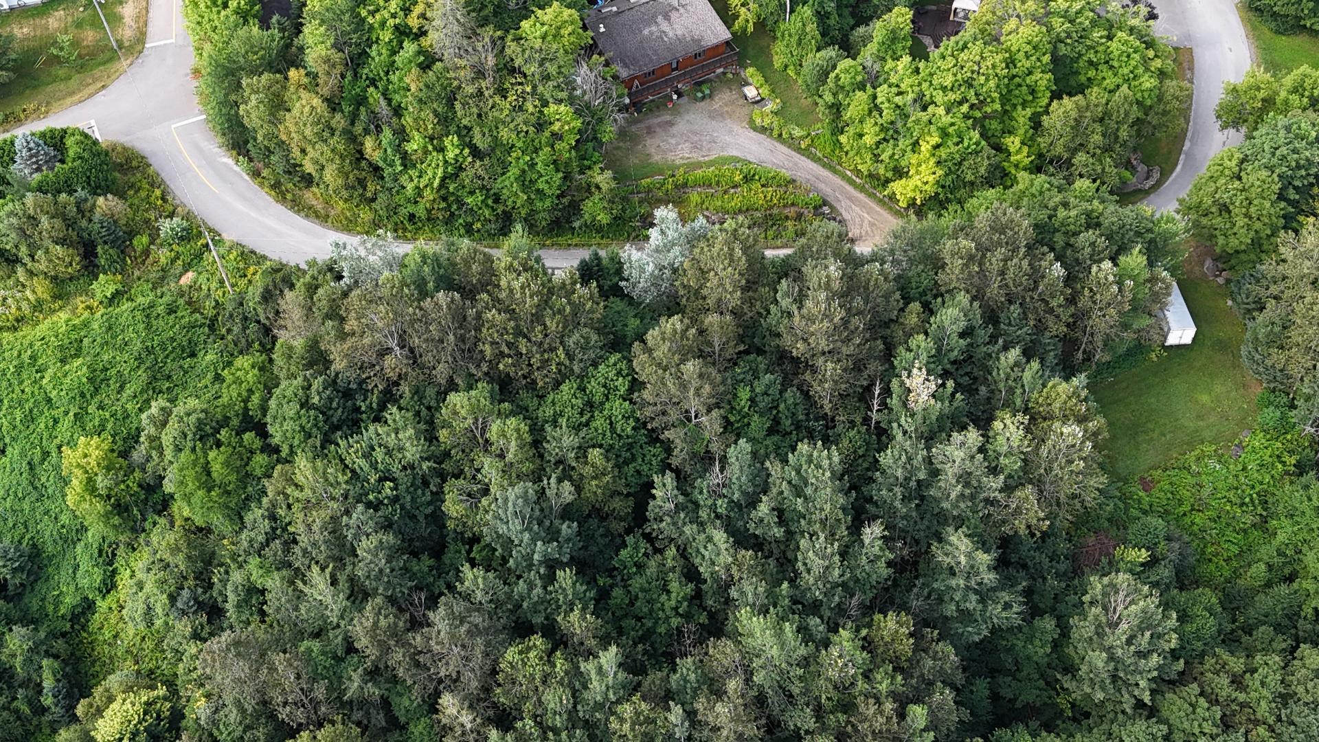 












Rue Beaulne

,
Sainte-Agathe-des-Monts,







QC
J8C3G6

