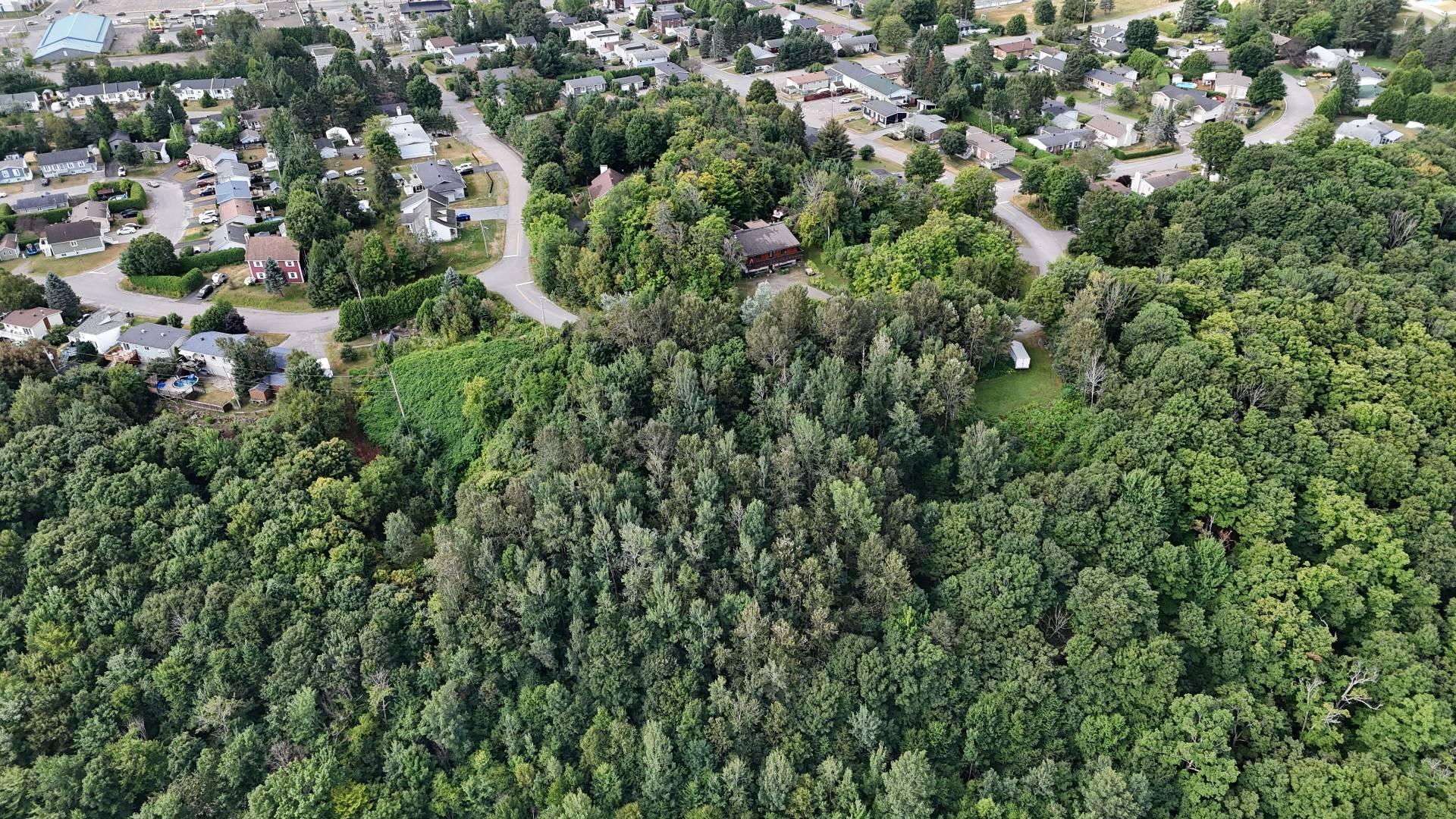 












Rue Beaulne

,
Sainte-Agathe-des-Monts,







QC
J8C3G6

