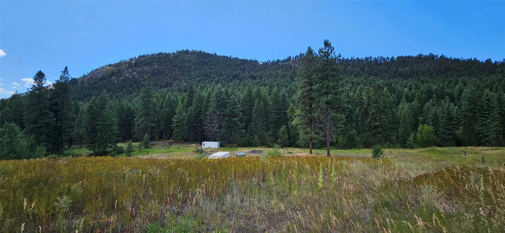 









DL 311S


NICHOLSON CREEK

Road, Lot A,
Rock Creek,







BC
V0H 1Y0

