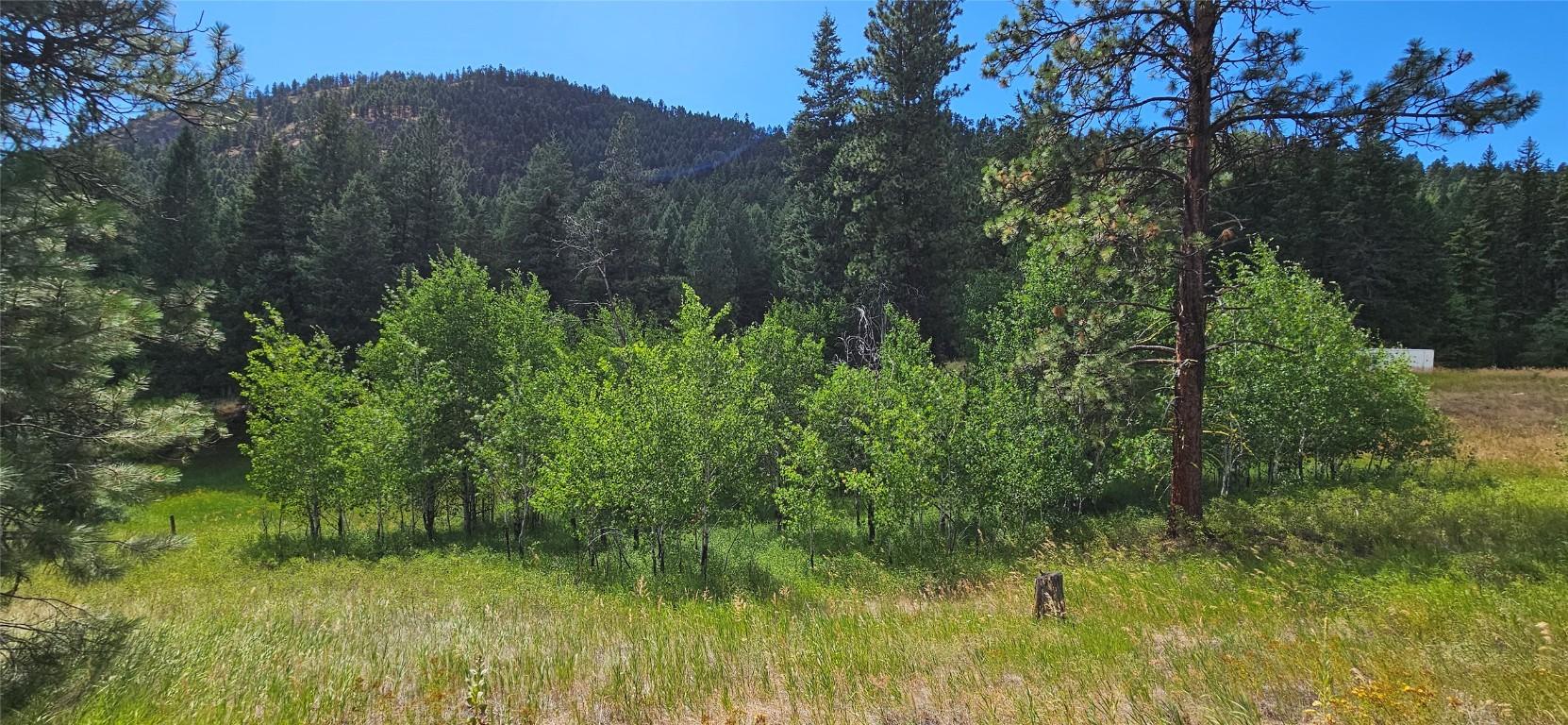 









DL 311S


NICHOLSON CREEK

Road, Lot A,
Rock Creek,







BC
V0H 1Y0

