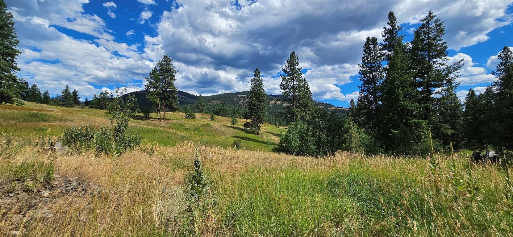









DL 311S


NICHOLSON CREEK

Road, Lot A,
Rock Creek,







BC
V0H 1Y0

