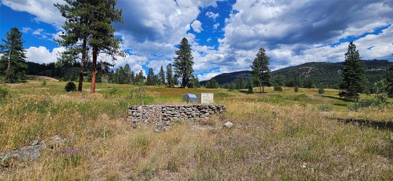 









DL 311S


NICHOLSON CREEK

Road, Lot A,
Rock Creek,







BC
V0H 1Y0

