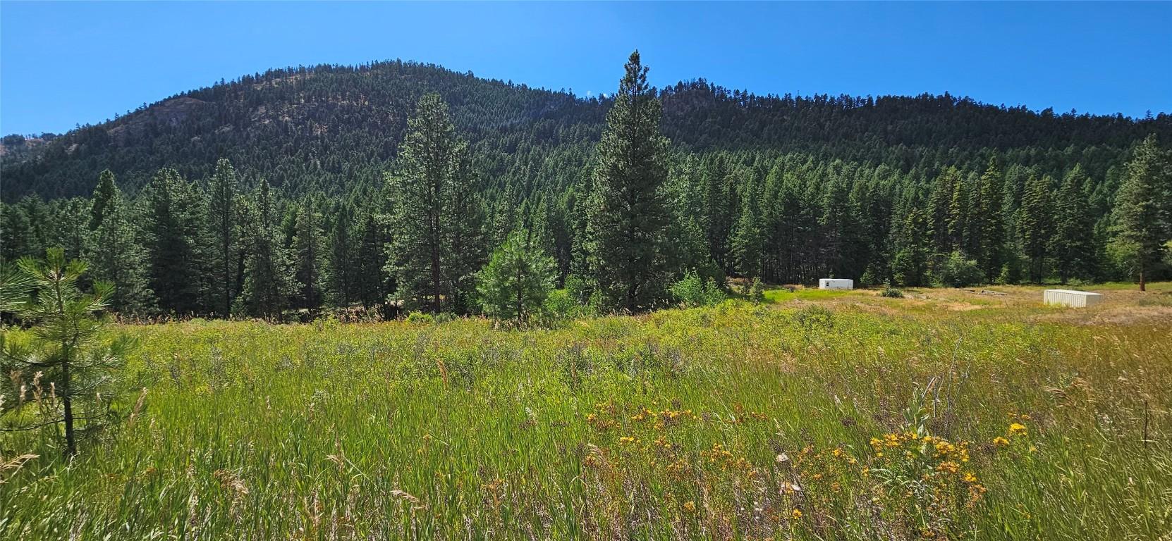 









DL 311S


NICHOLSON CREEK

Road, Lot A,
Rock Creek,







BC
V0H 1Y0

