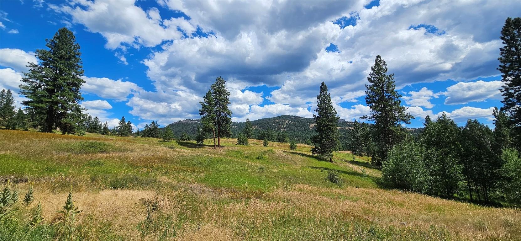 









DL 311S


NICHOLSON CREEK

Road, Lot A,
Rock Creek,







BC
V0H 1Y0

