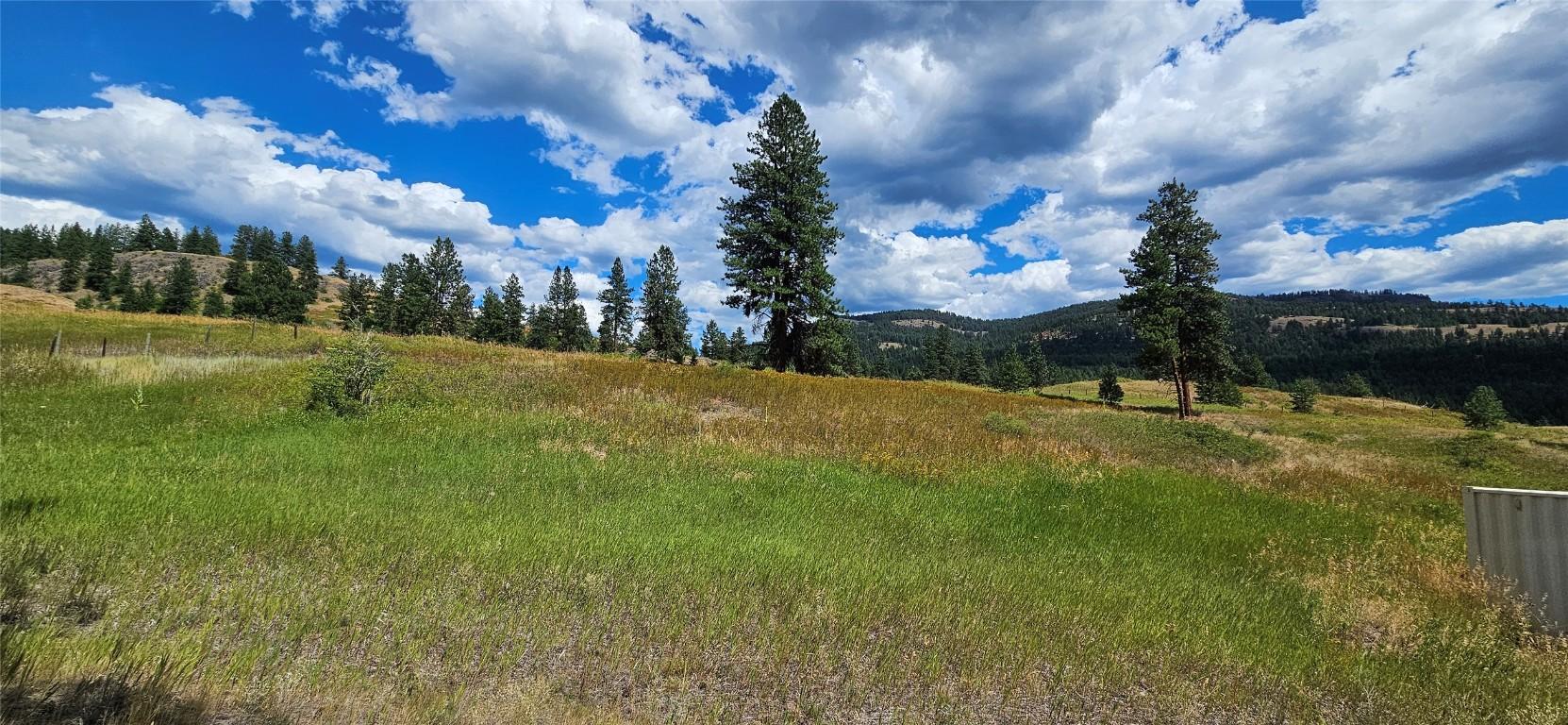 









DL 311S


NICHOLSON CREEK

Road, Lot A,
Rock Creek,







BC
V0H 1Y0

