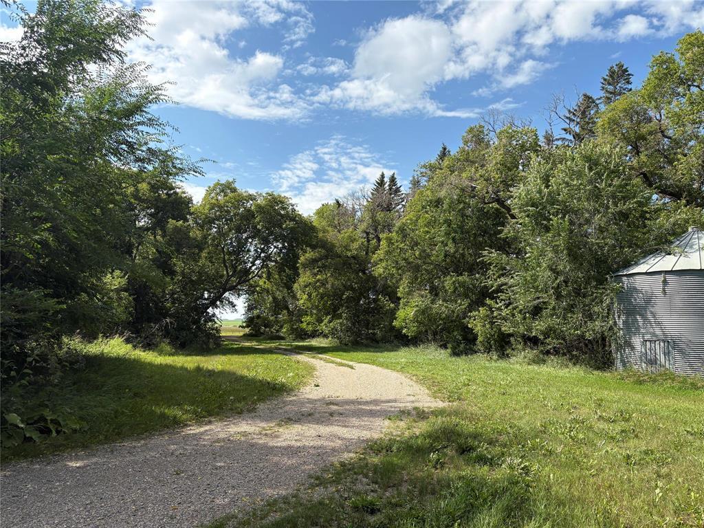












83160 135W Road

,
Hamiota,




Manitoba
R0M0T0

