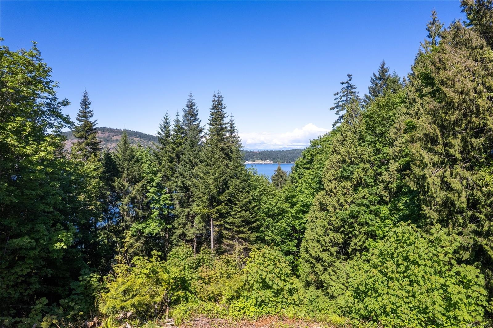 









LT 2


Hillview

Rd,
Lantzville,







BC
V0R 2H0


