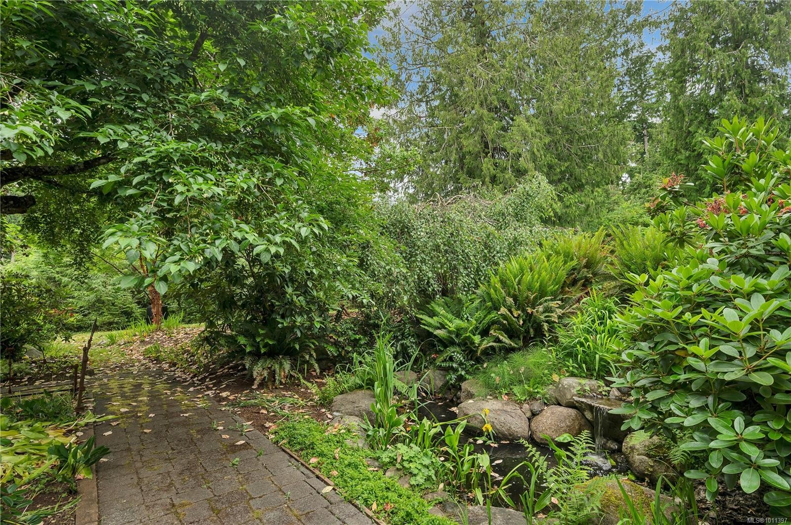 









1418


Schooner

Rd,
Quadra Island,




BC
V0P 1H0

