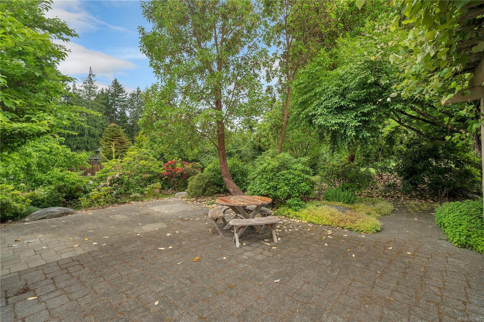 









1418


Schooner

Rd,
Quadra Island,




BC
V0P 1H0

