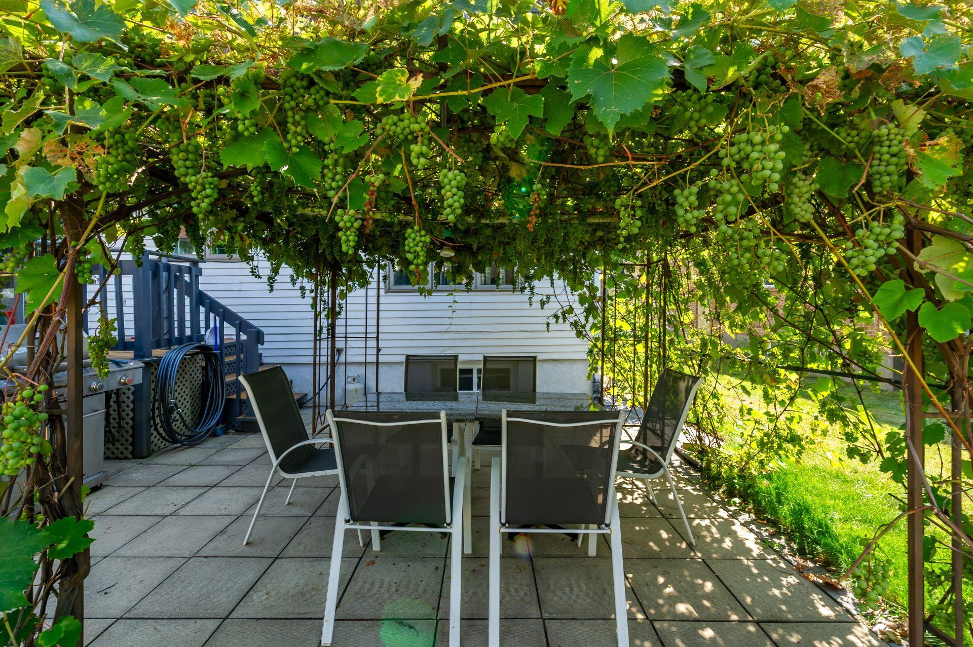 









1620


Crois. Rousseau

,
Brossard,




QC
J4X1S7

