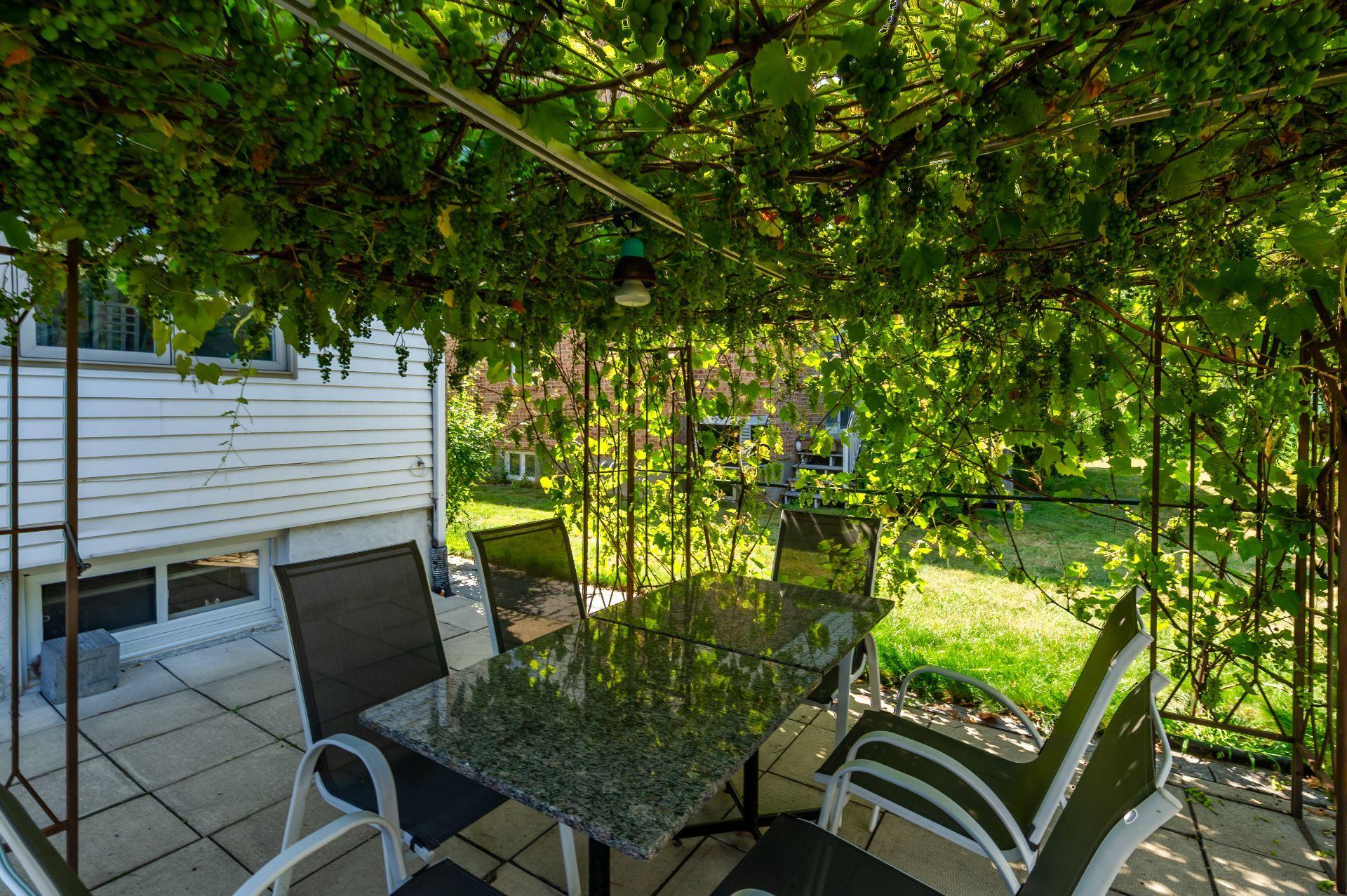 









1620


Crois. Rousseau

,
Brossard,




QC
J4X1S7


