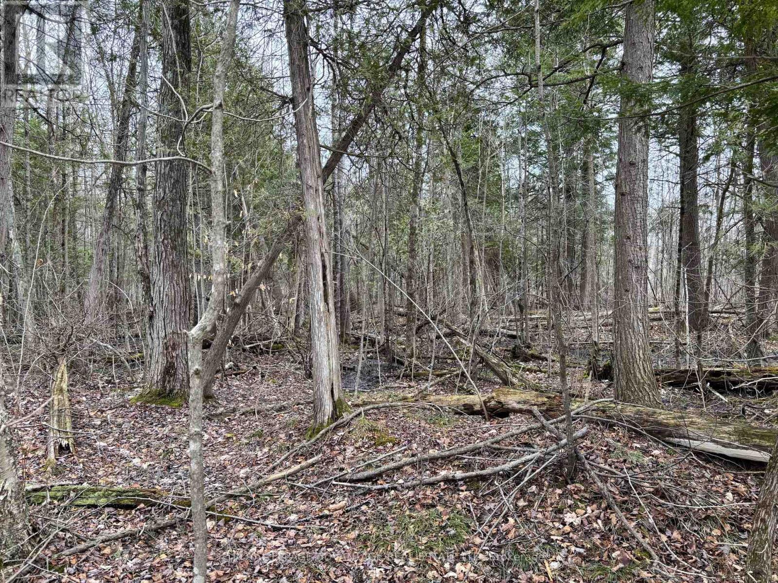 












0 DIXON ROAD

,
Augusta,







Ontario
K6V5T2

