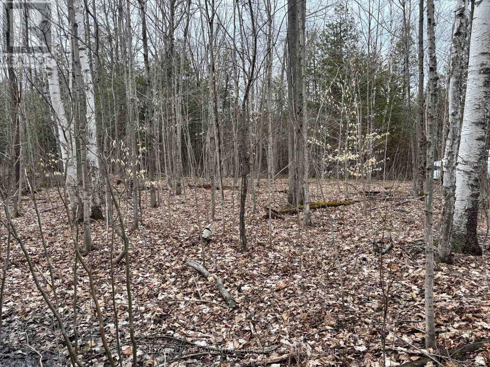 












0 DIXON ROAD

,
Augusta,







Ontario
K6V5T2

