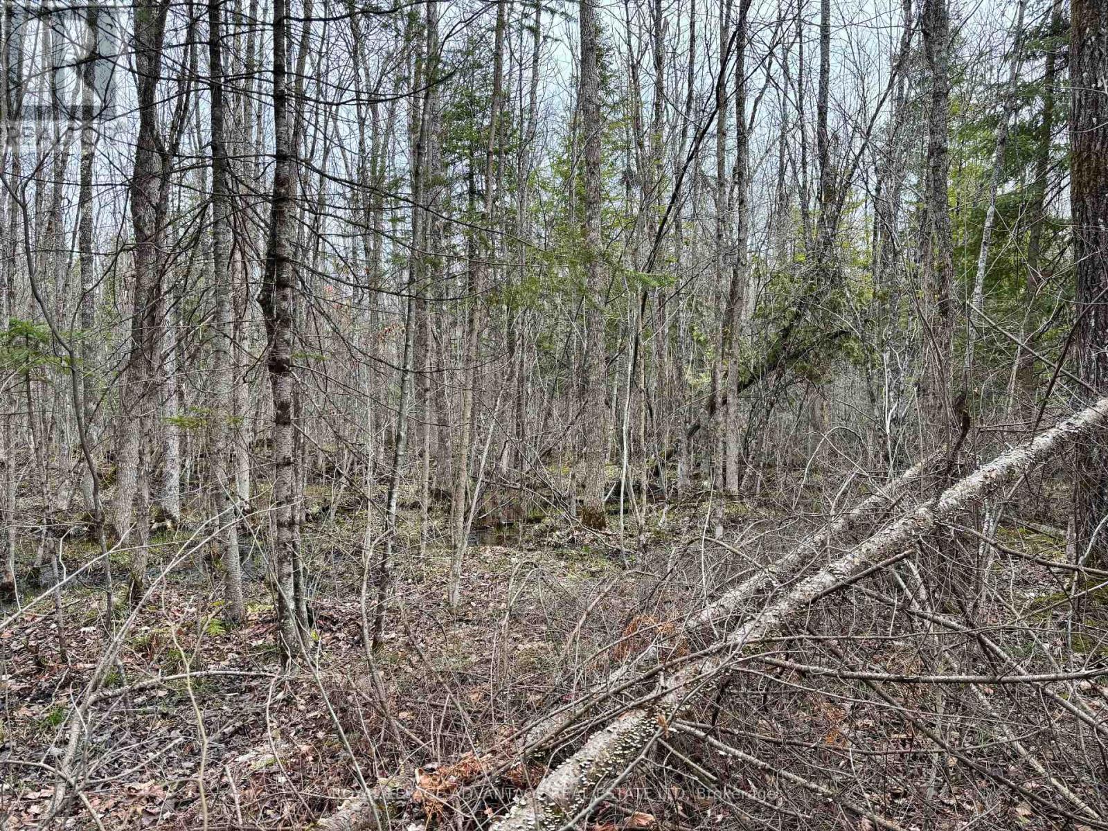 












0 DIXON ROAD

,
Augusta,







Ontario
K6V5T2

