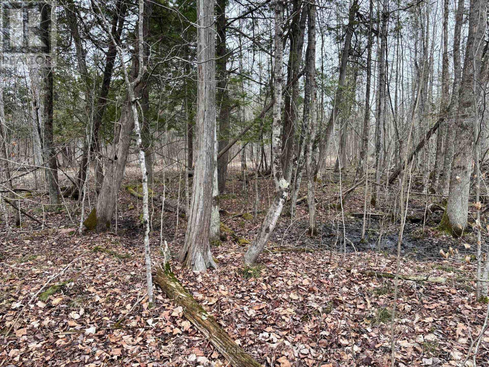 












0 DIXON ROAD

,
Augusta,







Ontario
K6V5T2

