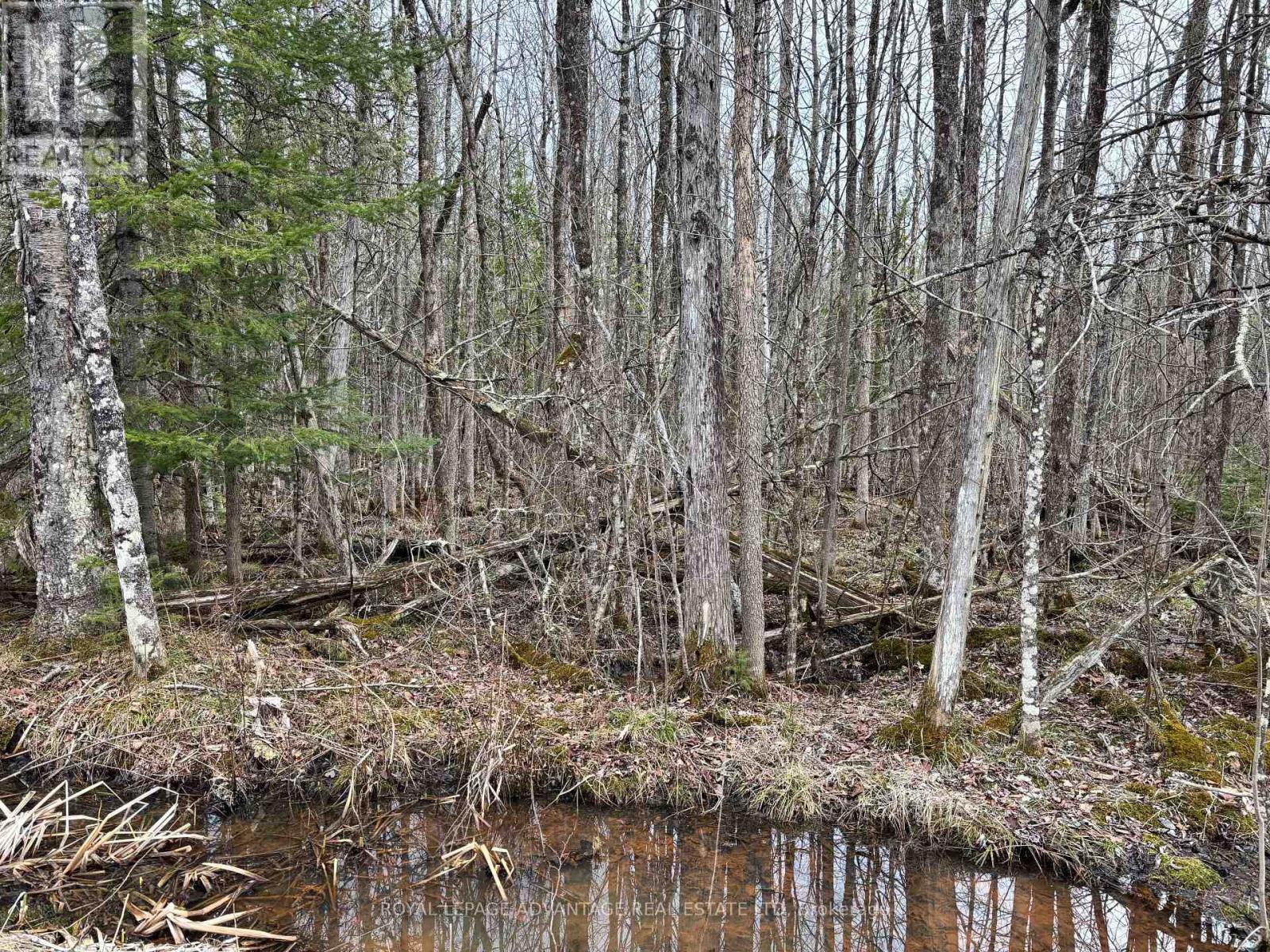 












0 DIXON ROAD

,
Augusta,







Ontario
K6V5T2

