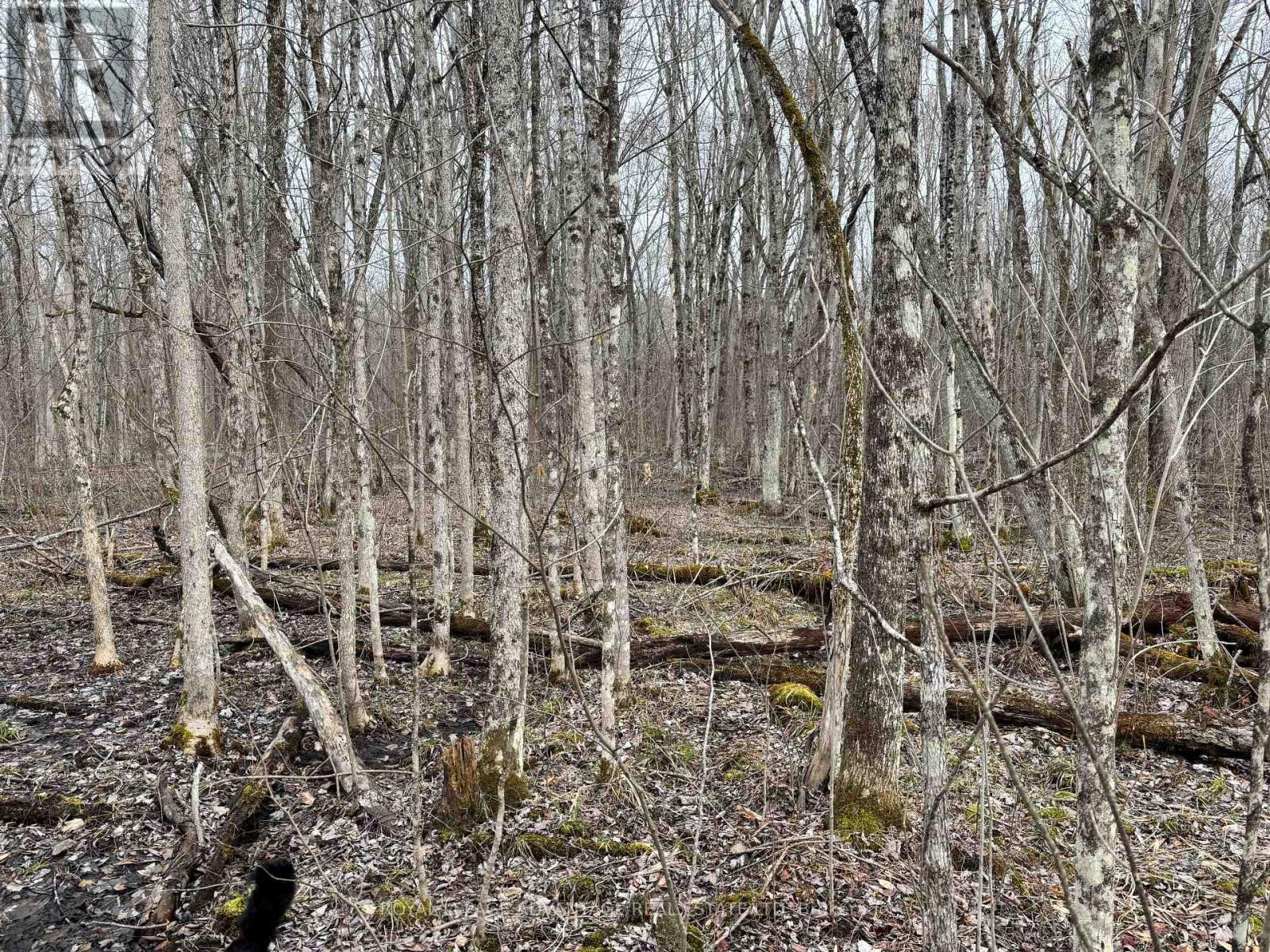 












0 DIXON ROAD

,
Augusta,







Ontario
K6V5T2

