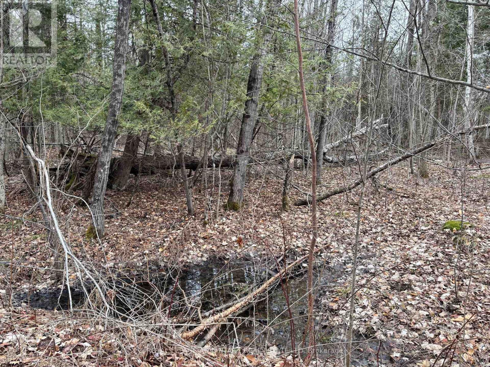 












0 DIXON ROAD

,
Augusta,







Ontario
K6V5T2

