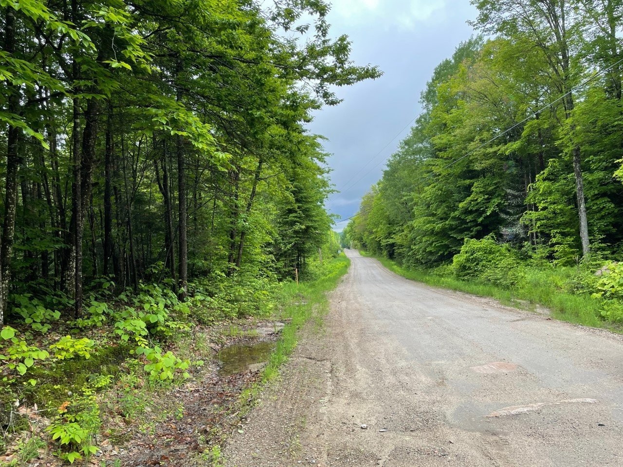 












Ch. des Malards

,
Nominingue,







QC
J0W1R0

