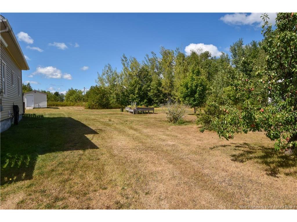 









3799


Principale

ST,
Tracadie,




NB
E1X 1E3

