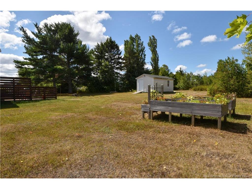 









3799


Principale

ST,
Tracadie,




NB
E1X 1E3

