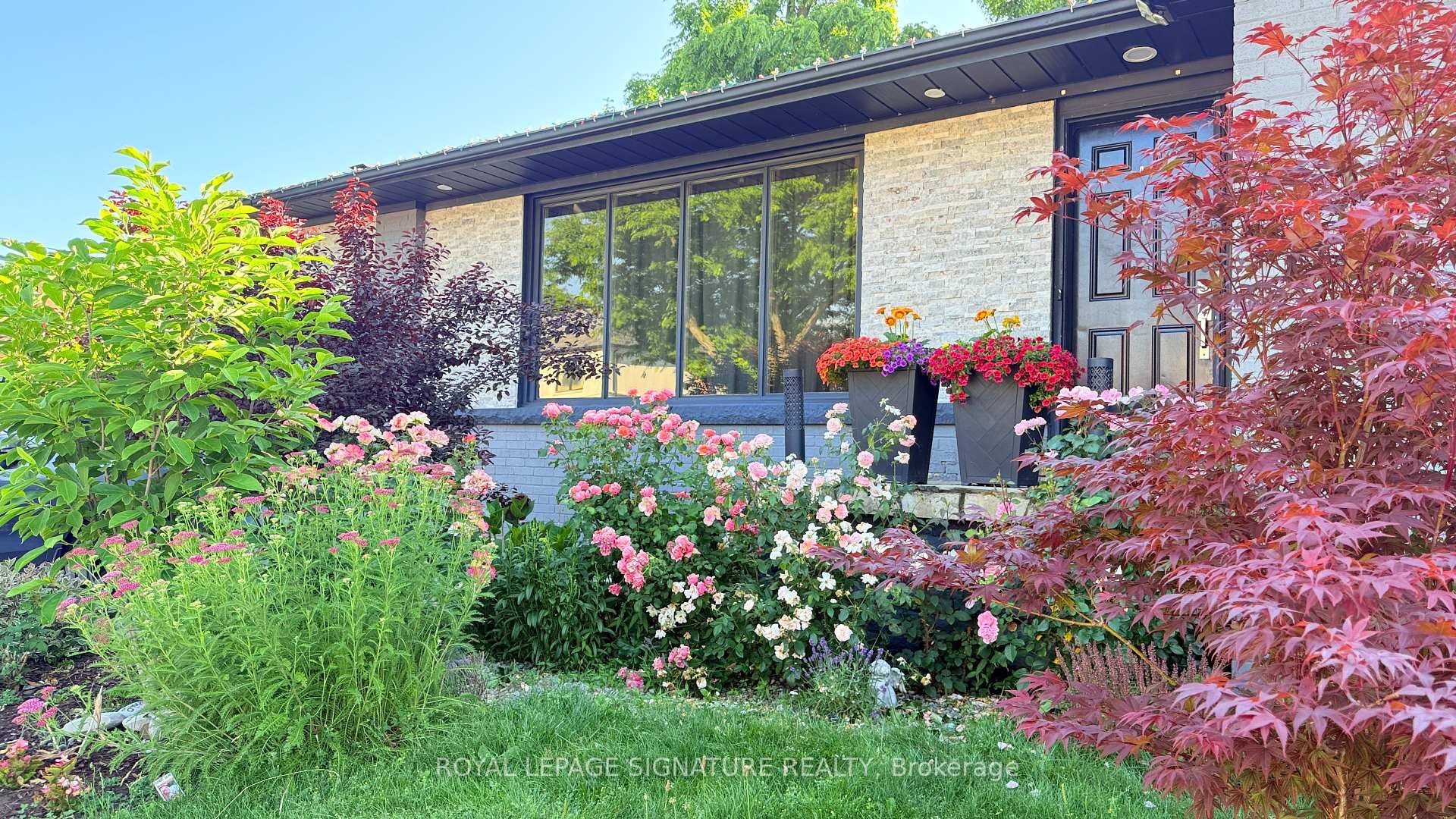 









115


Saturn

Road,
Toronto,




ON
M9C 2S8

